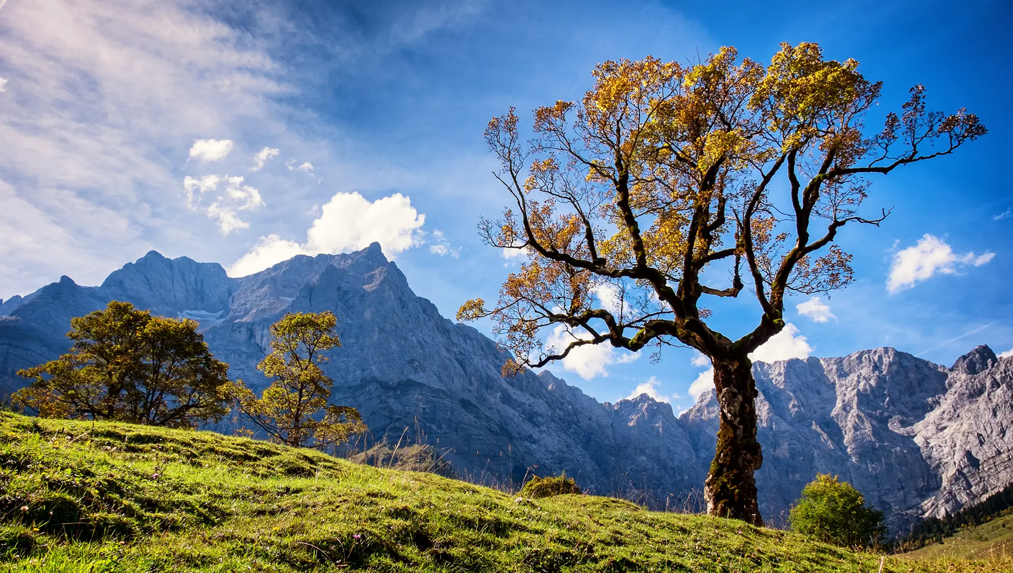 Golden Autumn in our Alpine World